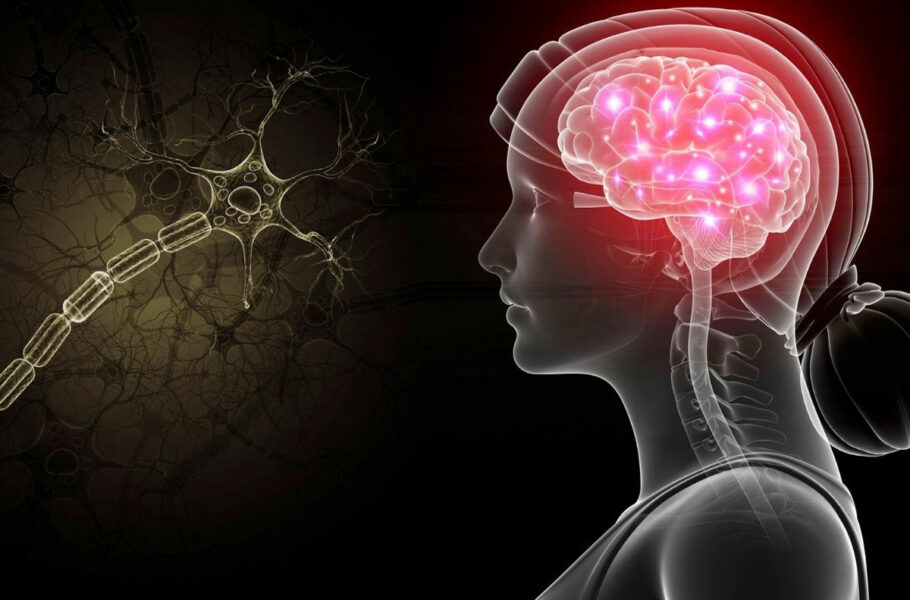 محققان: میزان اسیدی بودن مغز می‌تواند با اختلالات عصبی و مشکلات روان‌شناختی ارتباط داشته باشد