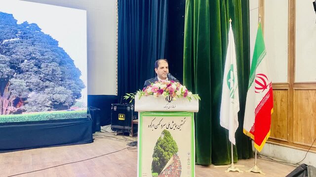 سرو ابرکوه گنجینه‌ای جهانی و نماد هویت ایرانی است