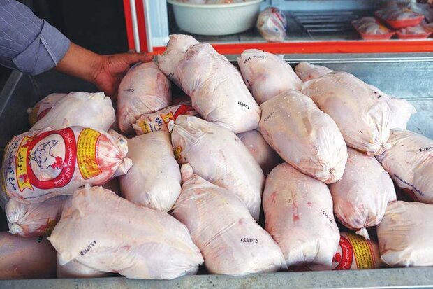افزایش قیمت مرغ در یزد تکذیب شد