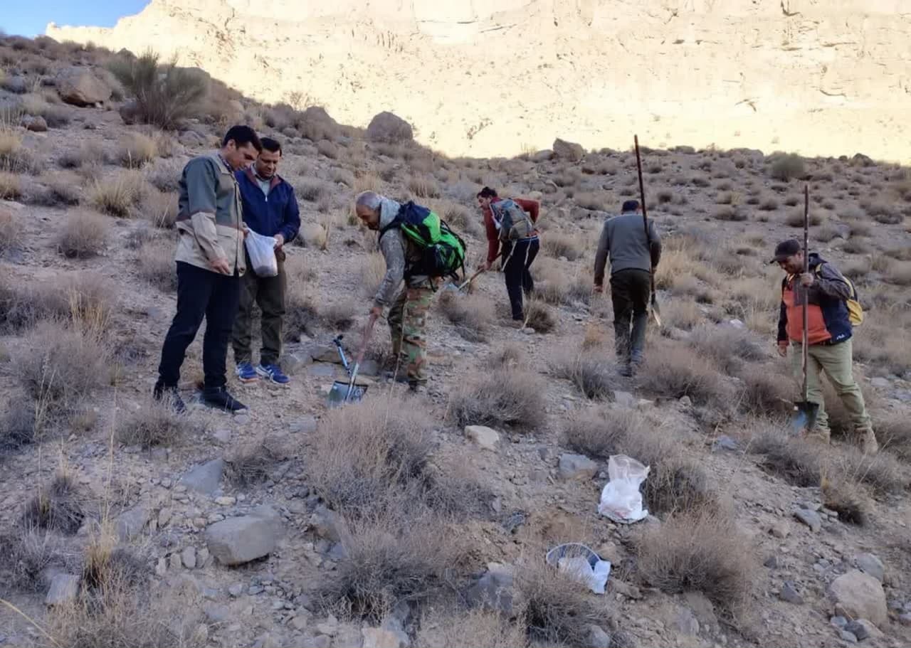 اجرای پویش بذرکاری کاشت درخت در مهریز