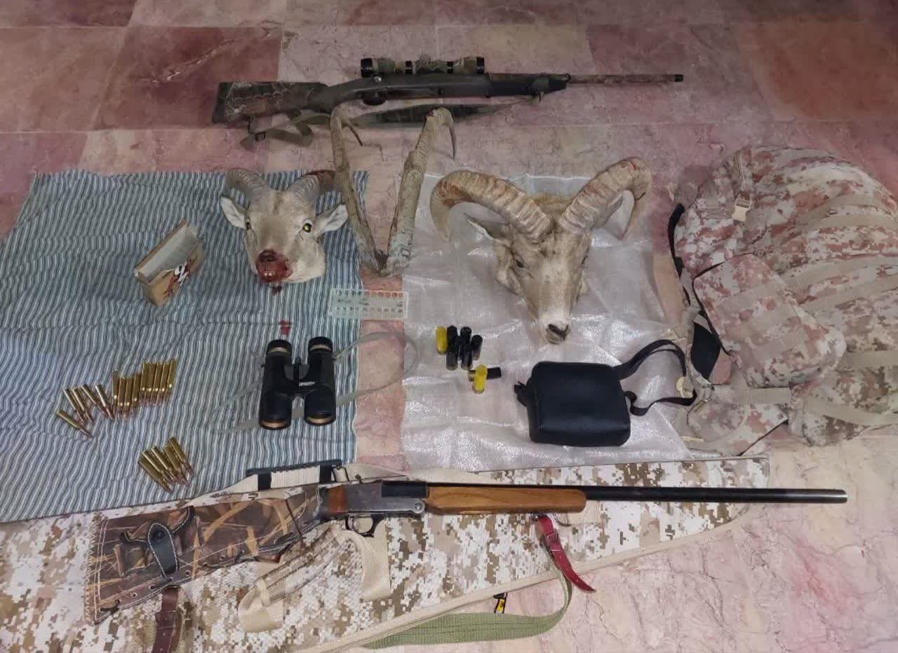 دستگیری باند شکارچیان متخلف در شهرستان تفت