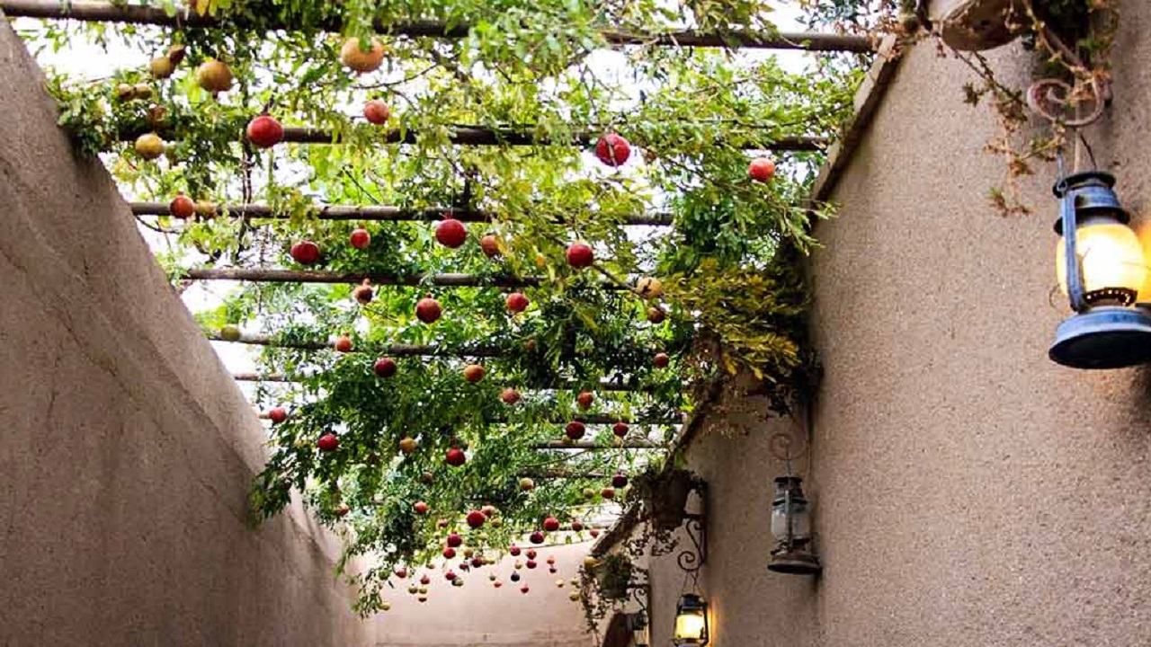 تفریح به چه قیمتی؟