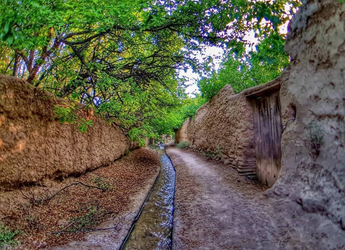 تفال به حافظ شنبه ۲۳ تیر ۱۴۰۳؛ تا ز میخانه و می‌نام و نشان خواهد بود...