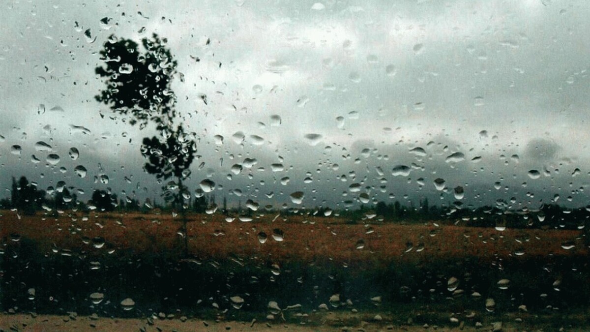 تفال به حافظ یکشنبه ۲۰ آبان ۱۴۰۳؛ سحر با باد می‌گفتم حدیث آرزومندی...