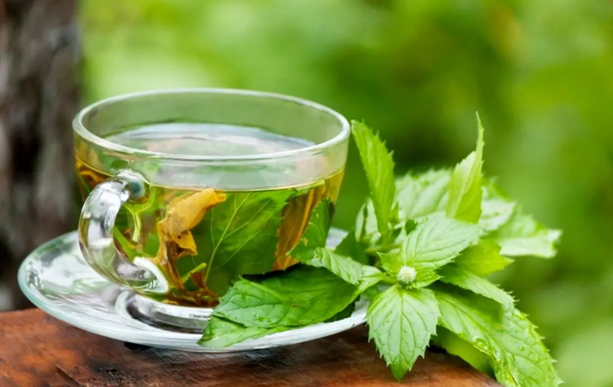 بهترین نوشیدنیها برای درمان نفخ شکم بهترین نوشیدنیها برای درمان نفخ شکم