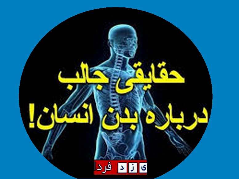 بدن انسان خاص ترازآن چیزی است  که فکرش را بکنید!!!!