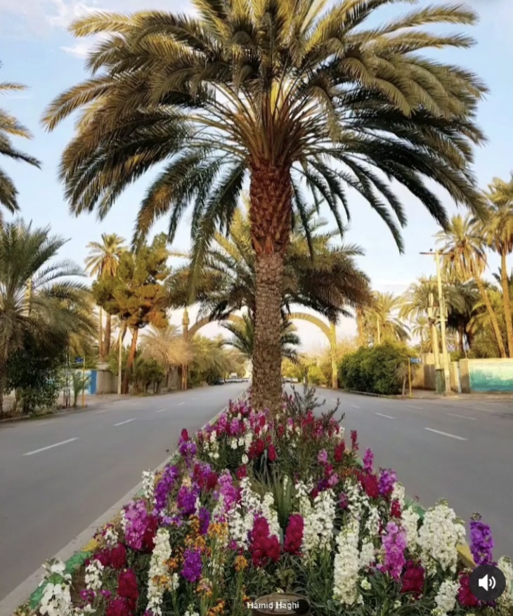 طبسيها بدون دستورات و ممنوعيت ها با احترام به توصيه ها و قدرداني از كادر درمان در خانه ١٣ را گذراندند