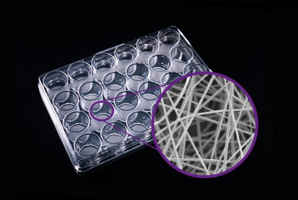 داربست سه‌بعدی برای رشد سلول‌های پوست ساخته شد
