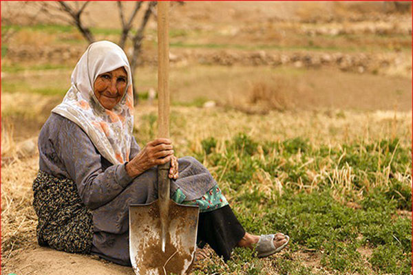 اجرای دومین مرحله طرح اشتغال سالمندیاری کمیته امداد اردکان