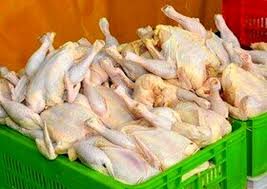 صادرات گوشت مرغ یزد متوقف شد