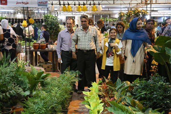 برپایی دهمین نمایشگاه گل و گیاه در یزد