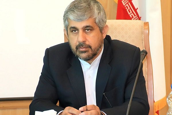 سعیدی: مسئولین دولتی پاسخگوی نمایندگان مجلس باشند سعیدی: مسئولین دولتی پاسخگوی نمایندگان مجلس باشند