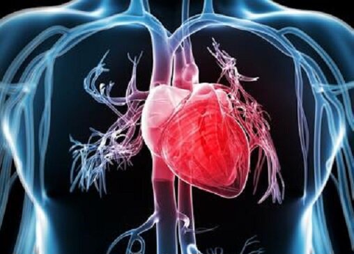 انجام ۳ جراحی کاشت دریچه مصنوعی قلب از طریق آنژیوگرافی در یک روز انجام ۳ جراحی کاشت دریچه مصنوعی قلب از طریق آنژیوگرافی در یک روز