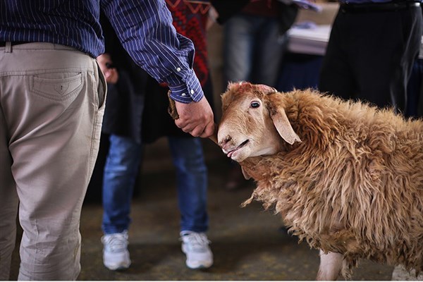 اعلام تمهیدات بهداشتی و شرعی عید قربان در استان یزد