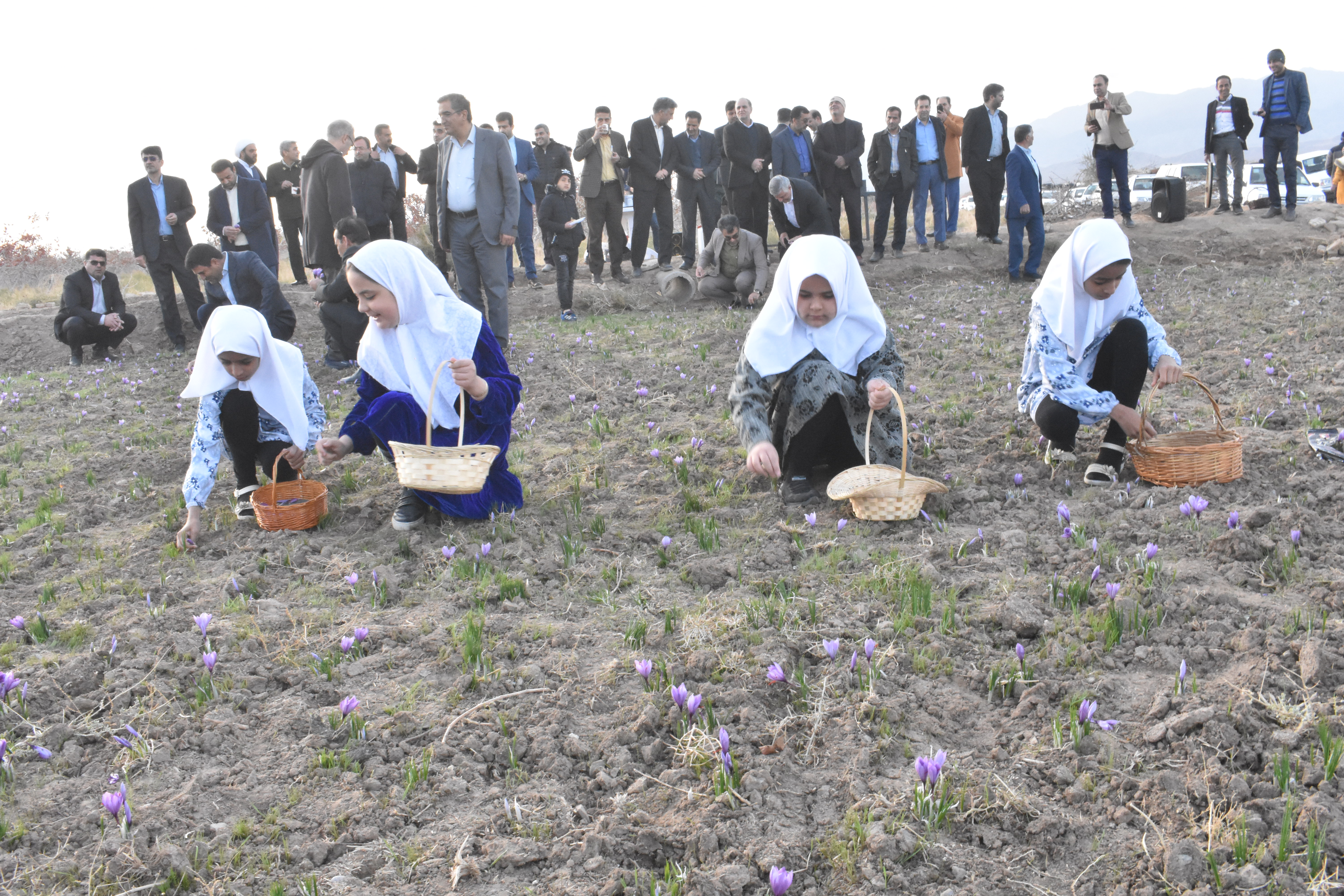 پنجمین جشنواره استانی زعفران دربهاباد یزد برگزارشد