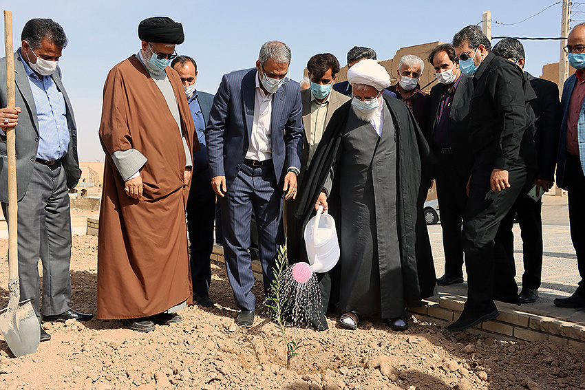 امام جمعه یزد در محوطه اطراف کتابخانه مرکزی چند اصله نهال میوه غرس کرد