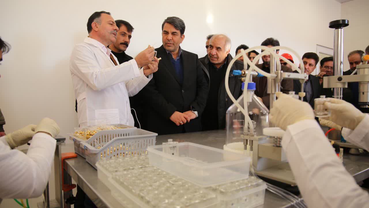 پالایشگاه گیاهان دارویی در شهرستان رابر احداث میشود