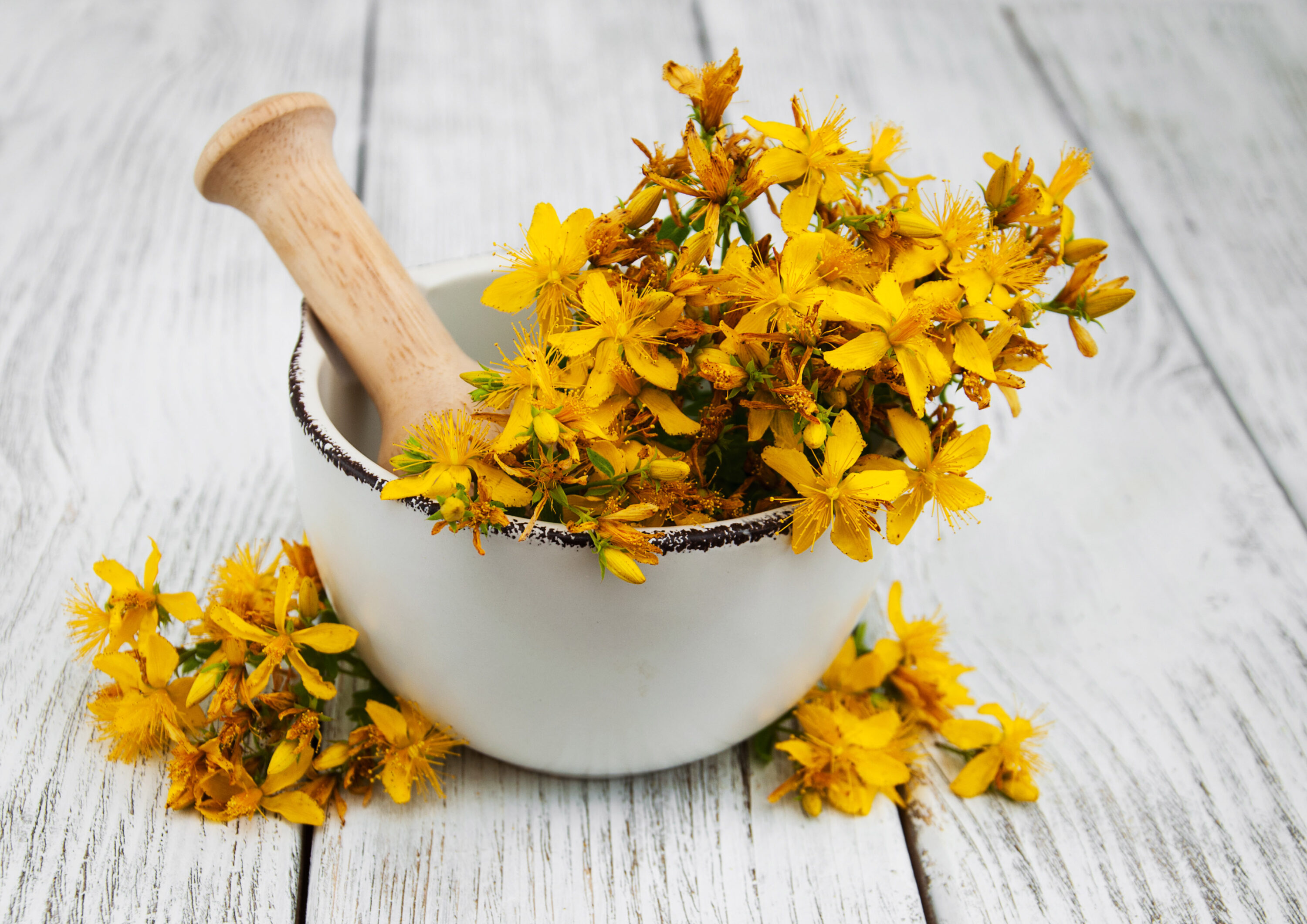 گیاه دارویی که برای درمان افسردگی معجزه می‌کند