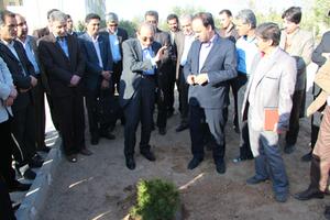 به مناسبت روز درختکاری در واحد یزد صورت گرفت ؛پروفسور کردوانی چهره ماندگار علمی کشور در این دانشگاه یک اصله نهال غرس کرد