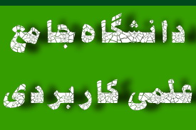 معاون آموزشی دانشگاه جامع علمی کاربردی:در حال حاضر فارغ التحصیلان دانشگاهی با توجه به رشته خود جذب بازار کار نمیشوند(1نظر)