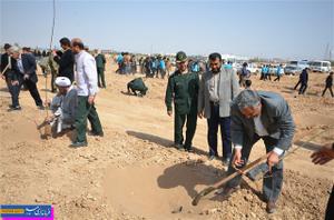 غرس 500 اصله نهال در کانال باد میبد
