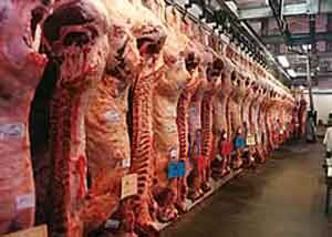 استاندار يزد: شهرداري و نيروي انتظامي، كشتارگاههاي غيرقانوني را تعطيل كنند 