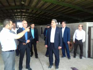 بازدید سرزده دو مدیر کل از مجتمع کشتارگاهی در حال احداث معین دام یزد در شهرستان مهریز
