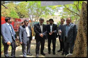 رونمایی از زیلوی میبد با نقش خورشید خانم 