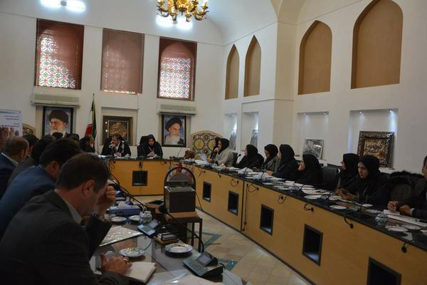 برگزاری اولین کارگاه آشنایی با نقش تخریبی و روش‌های کنترل عوامل بیولوژیک آسیب ‌رسان در بناها و آثار تاریخی در یزد