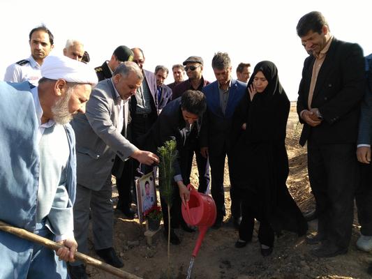 درختکاری پارک بانوان با حضور معاون استاندار و فرماندار ویژه، شهردار و جمعی از مسئولین شهرستان