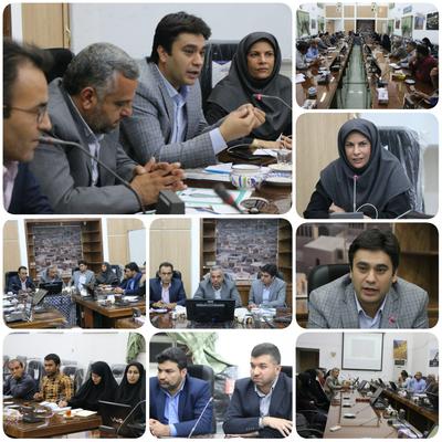 تلاش برای ثبت میبد به عنوان شهر جهانی زیلو