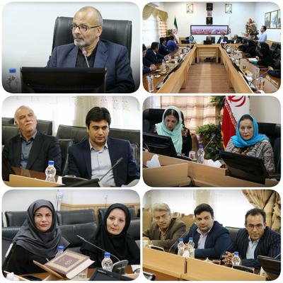 دیدار نمایندگان شورای جهانی صنایع دستی با استاندار یزد