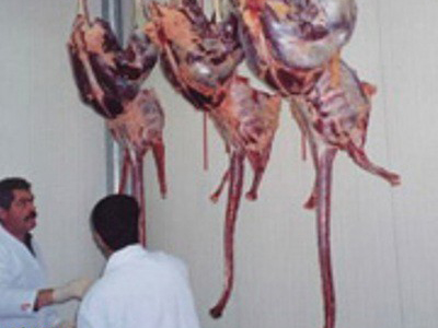 عرضه گوشت شتر مرغ بدون مهر و برچسب کشتارگاه ممنوع می باشد