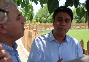 سرو ابرکوه ثبت جهانی می شود