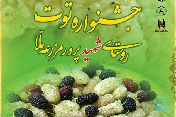 برگزاری جشنواره توت برای اولین بار در استان یزد