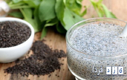 خواص تخم شربتی ازبر طرف کردن نفخ و یبوست تا کمک به لاغری 