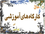 کارگاه آموزشی مقابله با بیماری تب کریمه – کنگو 