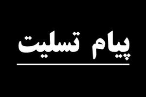 پیام تسلیت محمد صالح جوکار در پی ضایعه درگذشت حجه الاسلام والمسلمین حاج شیخ محمدباقر عجمین 