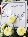  کاشت نهال سرو در دانشگاه یزد به یاد شادروان دکتر تقوی