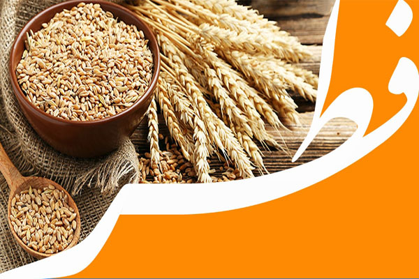 نیکوکاران یزدی از طریق کد دستوری # 035*8877* فطریه و کفاره را به‌آسانی پرداخت کنند