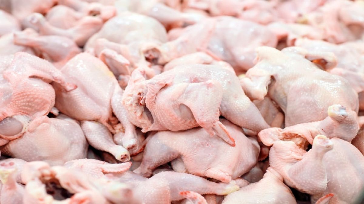 مردم نگران گرانی قیمت مرغ در روزهای پایان سال نباشند