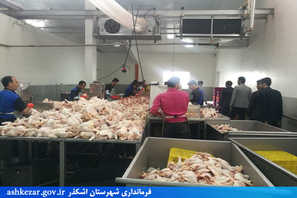 بازدید فرماندار اشکذر از کشتارگاه صنعتی سپید مرغ شیر کوه یزد