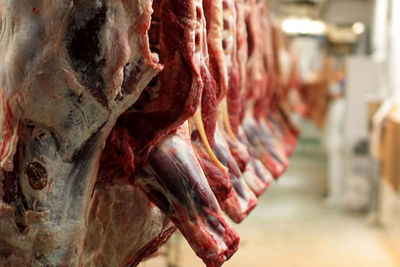 با فروشندگان متخلف گوشت قرمز برخورد قانونی می‌شود